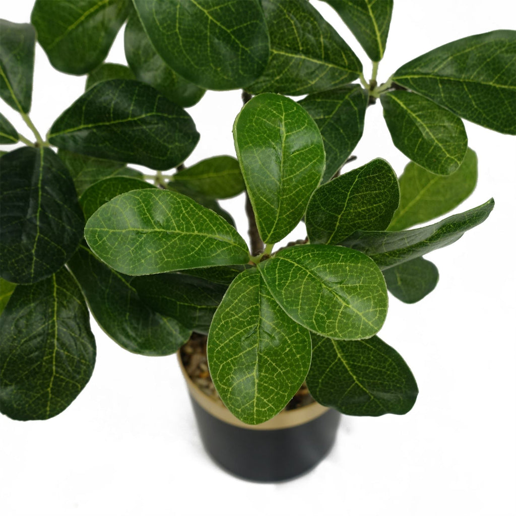 60cm Artificial Tropical Bonsai Ficus Tree - Premium Quality