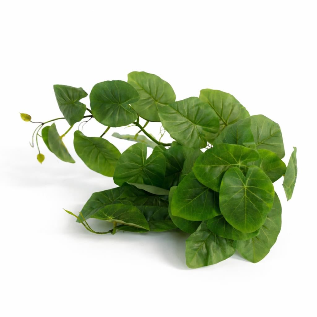 25cm Artificial Trailing Arrowhead Vine Plant - Premium Quality