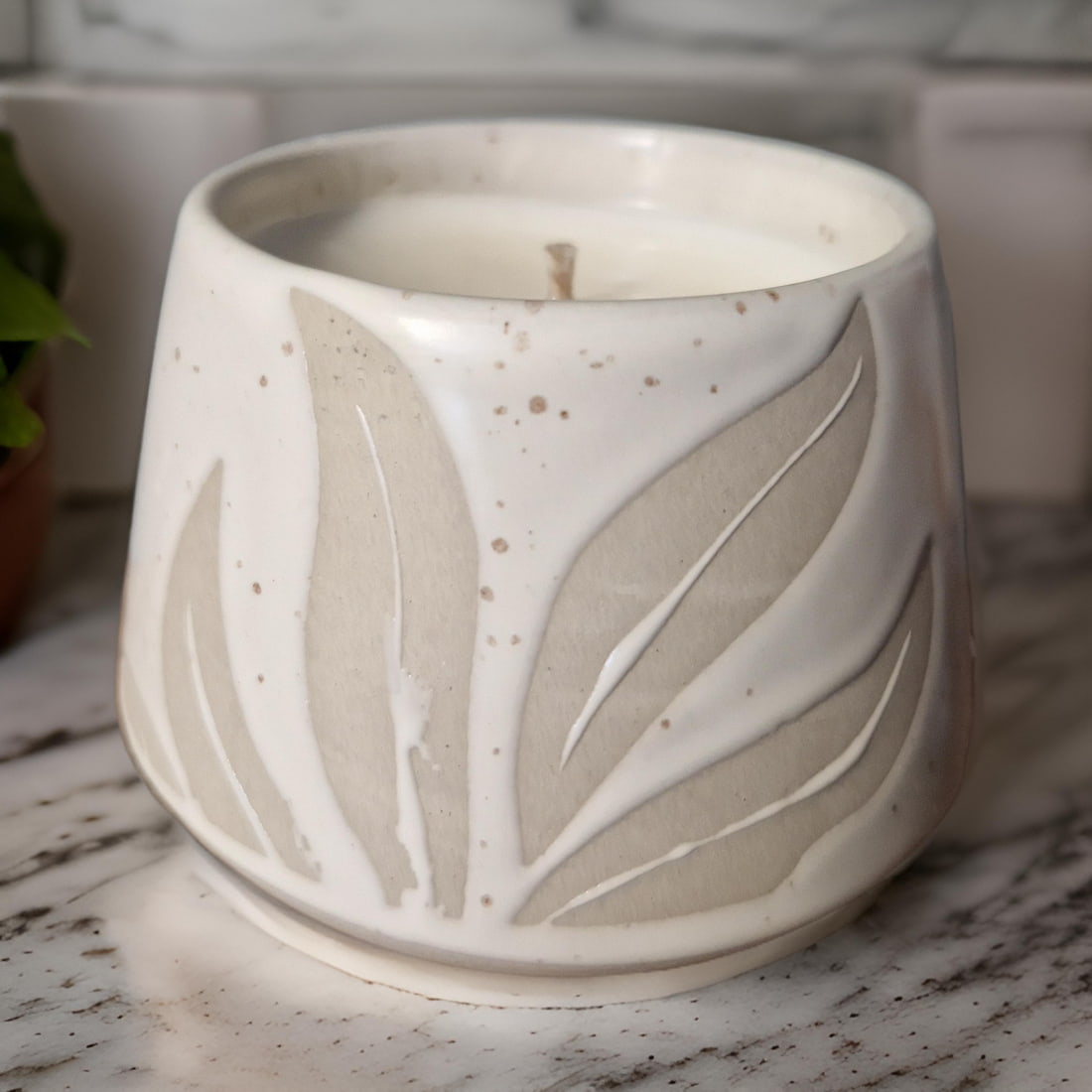 Hesperantha Detail Plant Pot-2