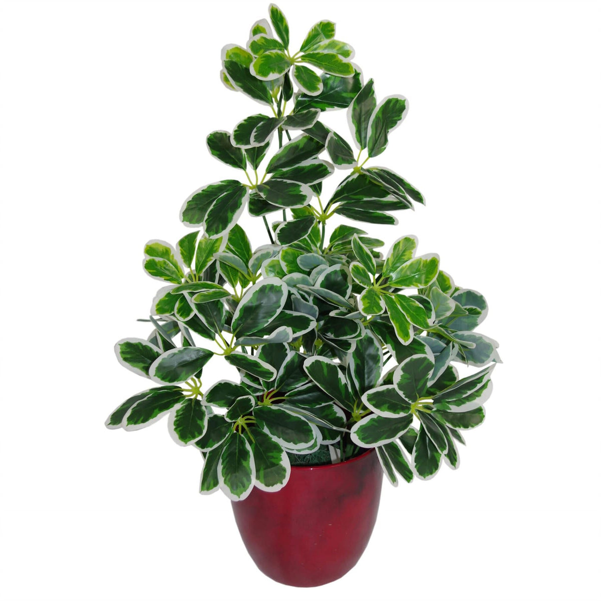 Artificial Arboricola Plant Umbrella Tree Black Plastic Pot 55cm Light Plant Botanik
