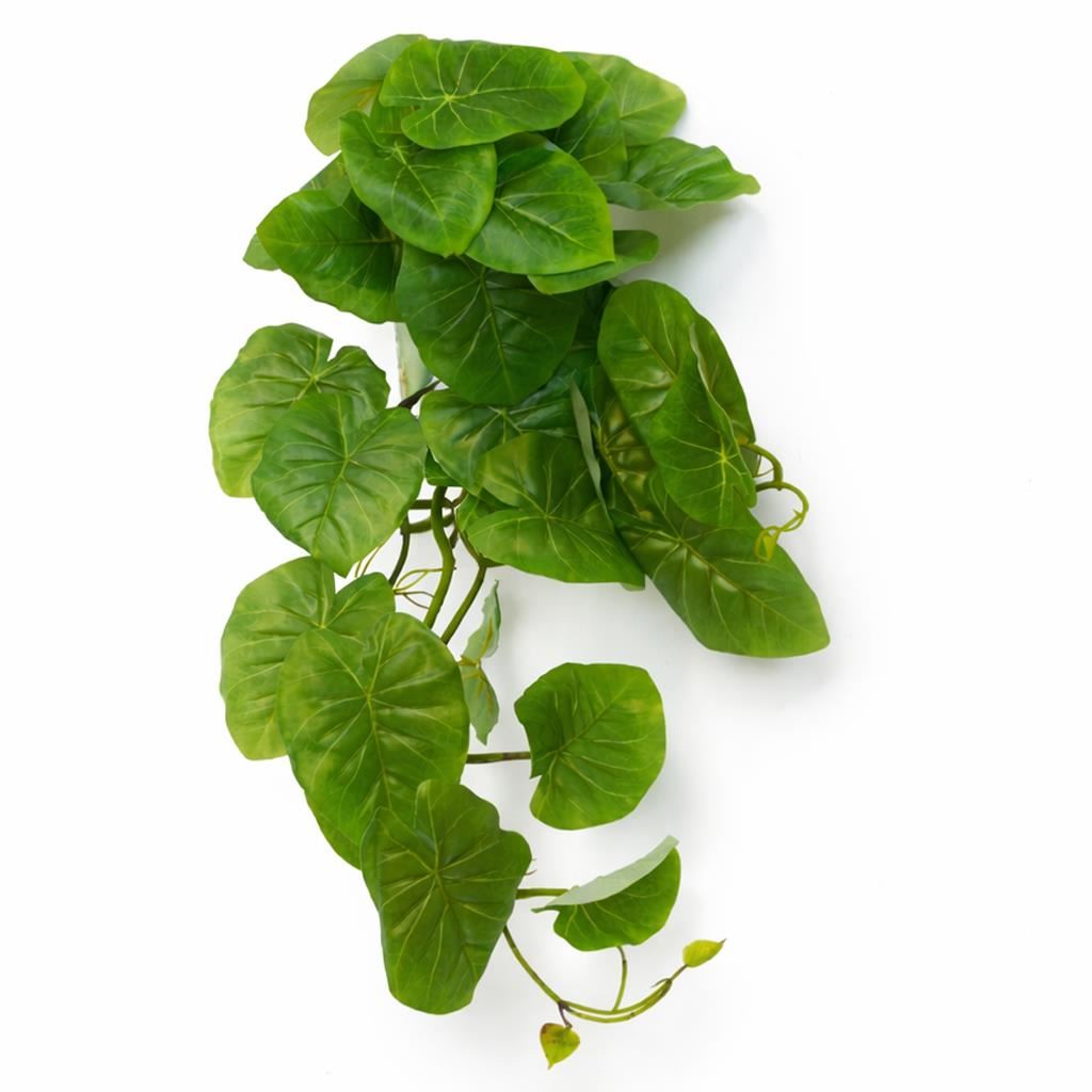 25cm Artificial Trailing Arrowhead Vine Plant - Premium Quality