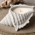 Conch Candle-0