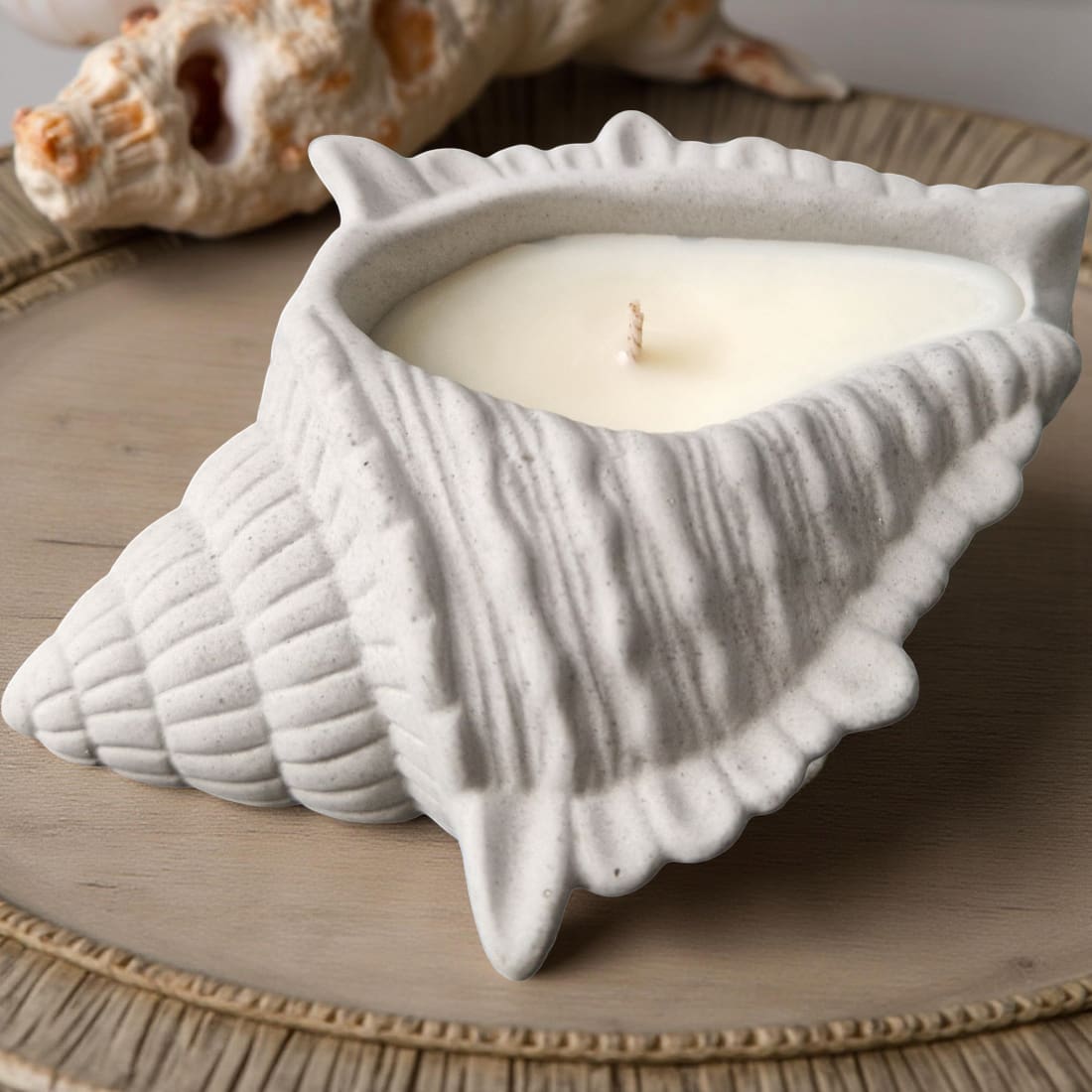Conch Candle-0