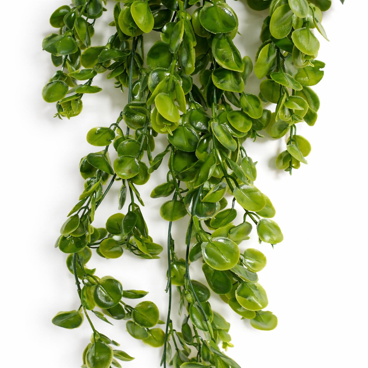 75cm Artificial Trailing Round Leaf Hanging Foliage Plant - Classic Gloss Green