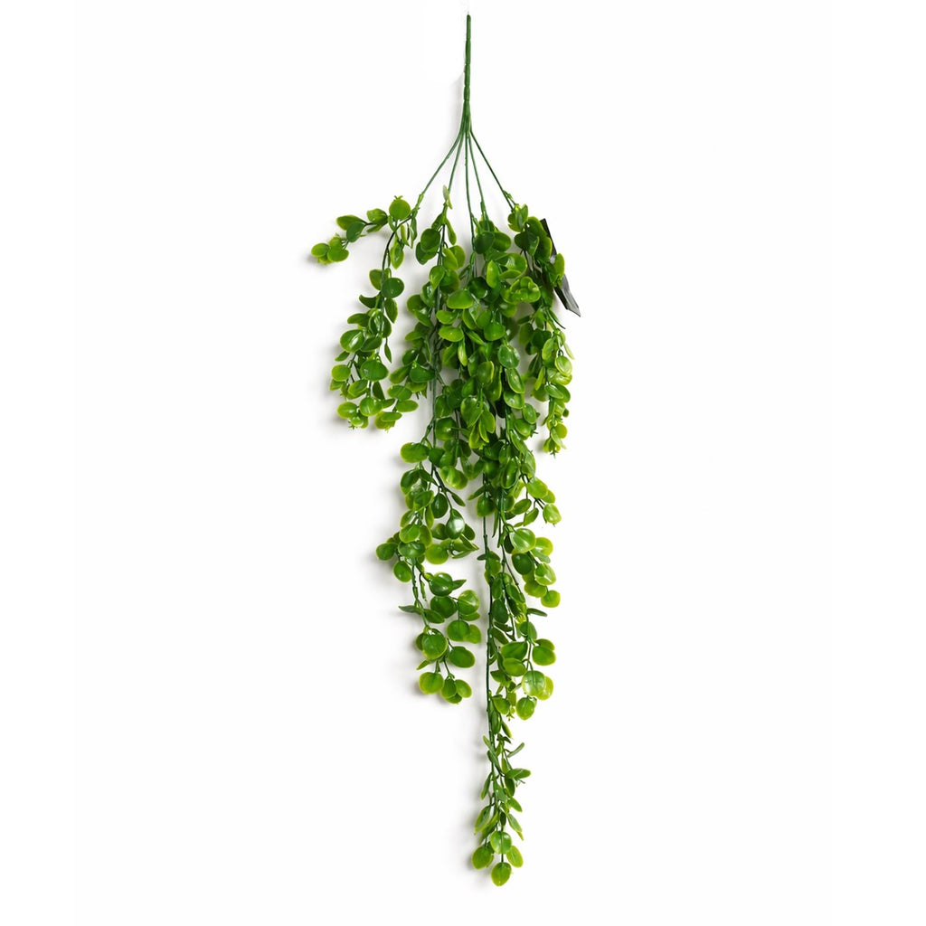 75cm Artificial Trailing Round Leaf Hanging Foliage Plant - Classic Gloss Green