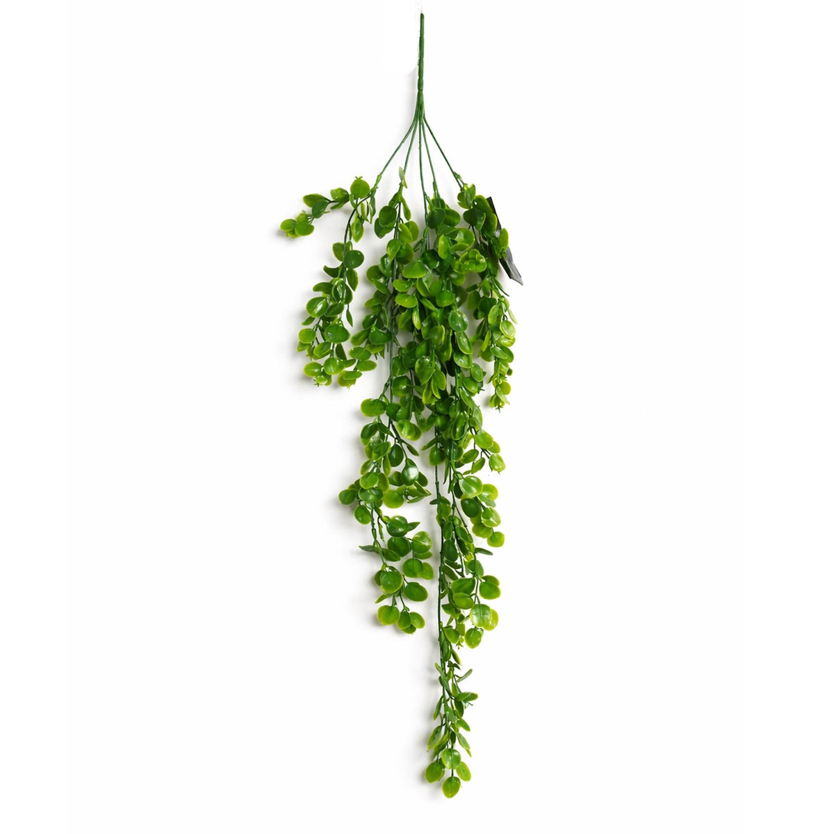 75cm Artificial Trailing Round Leaf Hanging Foliage Plant - Classic Gloss Green